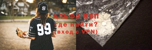 стаф Нея