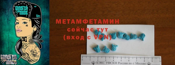 PSILOCYBIN Новодвинск