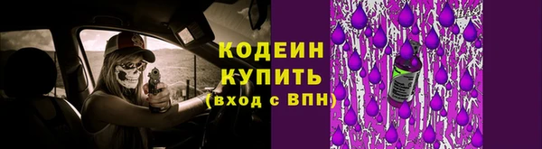 мет Новозыбков