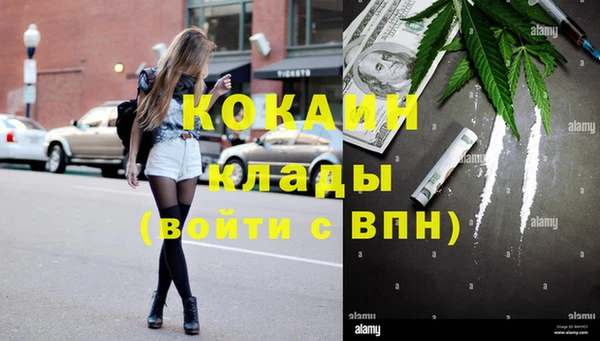 тгк Кизел