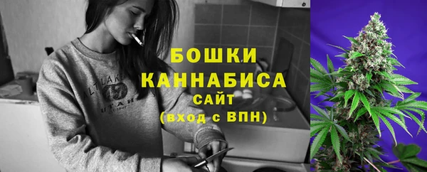 PSILOCYBIN Новодвинск