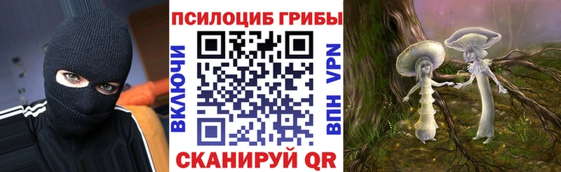 Галлюциногенные грибы мухоморы  продажа наркотиков  Инта 